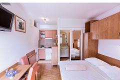 Appartements Mimoza Appartement 2 – AP2 rozi foto 1