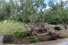 Appartement PAVLA Appartement 2 – TOMAS1 foto 5