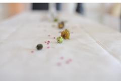 Appartements Josip Jaz Appartement 1 foto 4