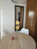 Maison de vacances Roema Appartement 2 – A studio foto 3