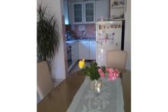 Appartement Novi Bokanjac Appartement 1 – APARTMAN foto 2