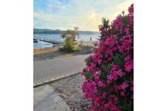 Appartement Mare - prvi red uz more Appartement 1 – Mare foto 3