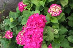 Appartements Jurov Appartement 1 – Studio foto 2