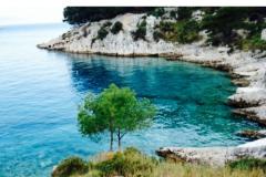 Appartements Violeta Appartement 1 – Marijan foto 1