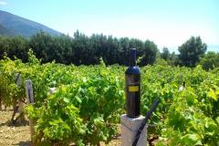 Maison de vacances Ratac**** Appartement 1 – 2xA5 foto 1