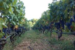 Maison de vacances Ratac**** Appartement 1 – 2xA5 foto 4