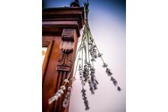 Villa Arboretum Appartement 1 – app1 2+2 foto 5
