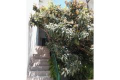 Appartements A &amp; N Bekavac . Appartement 4 – A2+2 foto 5