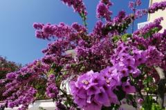 Appartements Mark Appartement 1 – Ap1 foto 3