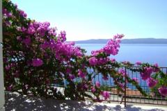 Appartements Mark Appartement 1 – Ap1 foto 4