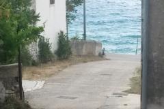 Smještaj Julia Appartement 6 – Julia 6 foto 2