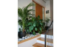 Appartements Katarina Appartement 1 – Ap1 foto 1