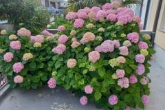 Appartements Rosi Appartement 1 – SMOKVA foto 5