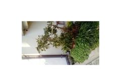 Maison Nada Chambre 3 – ROZA foto 5