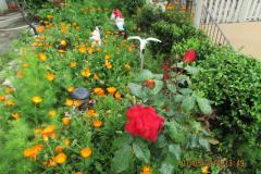 Appartements  Anka Appartement 1 foto 3