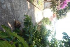 Appartements Diana Appartement 1 – Apartman 1 foto 5