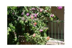 Appartements Majica Appartement 2 – A6 foto 4