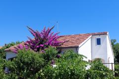 Maison de vacances - Appartement Milka Appartement 1 – Kuća foto 2