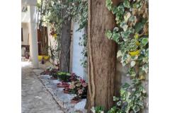 Appartements Ela Appartement 2 – A1 foto 4