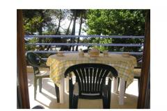 Appartements PARK Appartement 3 – F1-F2 foto 4