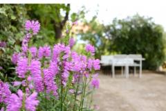 Appartements M Appartement 1 – A4 foto 4