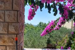 Dva labuda Appartement 5 – Ap.  A5 foto 1