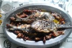 Maison de vacances RB SANTINI Appartement 1 – House foto 4