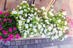 Appartements Vesna Appartement 3 – A3 foto 4