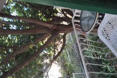 Dijana Beach Maison Appartement 1 – Villa Dija foto 5