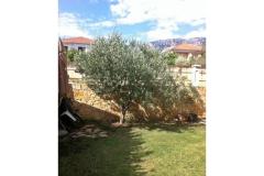 Appartements Vito Appartement 1 – Bartul foto 2