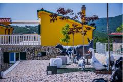 Luxury villa Cvita Appartement 1 – VillaCvita foto 3