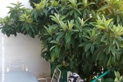 Appartements Duboka Appartement 1 – A2 foto 4