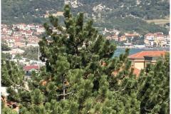 Appartements Maričić Appartement 3 – Stella M 3 foto 5