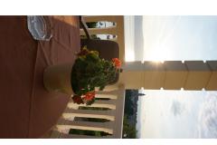 Villa Mirela B&amp;B Chambre 1 – Pinia foto 6