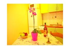 Appartements Diana Appartement 4 – ap. 4 foto 2