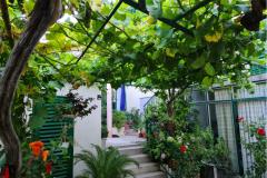 Appartements Vinea Appartement 2 – A2 foto 2