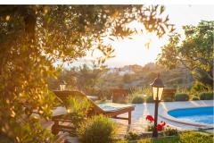 Rustic Oliveto Appartement 1 – Rustic foto 2