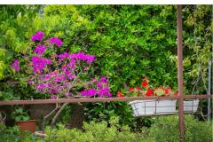 Appartements Daniela Makarska Appartement 1 – Apartman 1 foto 3