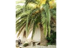 Silva apartments Appartement 2 foto 4