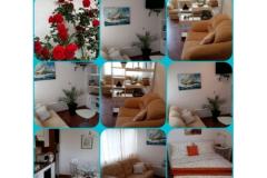 Villa Appartements Sumić Appartement 1 – GREEN OASE foto 4