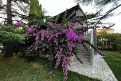 Flowers Appartement Medulin, Fucane 2 Appartement 1 – Bugenvilia foto 2