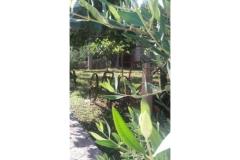 Appartements Vera Appartement 2 – apartman foto 4