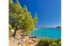 Vila Franka Appartement 2 – Apt2 foto 4