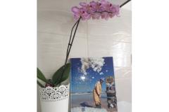 Appartements Mirjana Appartement 1 – I . kat foto 2