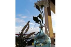 Appartements Mirjana Appartement 2 – Mali ap foto 1