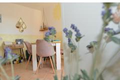 Appartement Bonzo Novalja Appartement 1 – BONZO foto 4