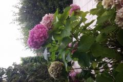 Appartements Katarina Appartement 3 – Apartman3 foto 1