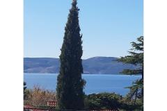 Appartements Sokolić Appartement 1 foto 1