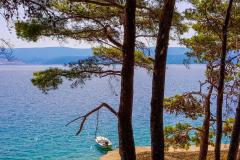 Appartements Višnja Appartement 1 – A1 foto 4