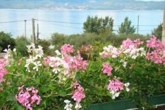 Villa Sunce Appartement 4 – studio 2+2 foto 2